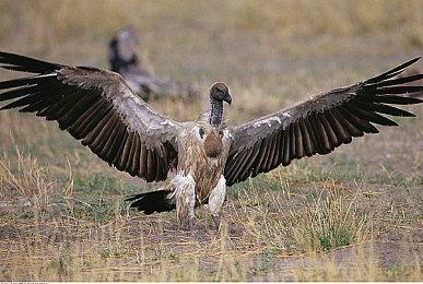 SE种田RPG《丰饶之星》新截图 海边小镇真美