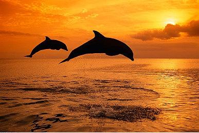 《最终幻想起源》追加任务“次元迷途者吉尔伽美什”前导预告 10月26日上线